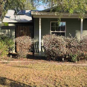 Bush Trimming by Morene Garcia reviewed on January 18, 2026