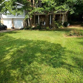 gardening service by Mighty Mike lawn care and pressure washing reviewed on August 19, 2025