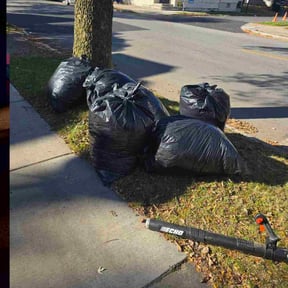 Leaf Removal by North Pearl landscaping reviewed on November 7, 2025