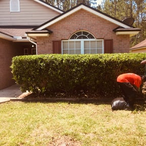 Bush Trimming by Jay's Property Management Lawn Tree Service reviewed on August 18, 2025