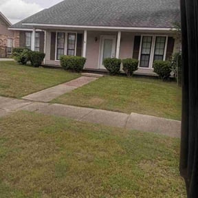 Bush Trimming by C &amp; M Lawn Service reviewed on August 18, 2025