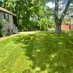 landscape maintenance by CC Landscaping Services LLC reviewed on August 21, 2025