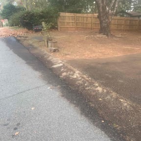 Leaf Removal by Houston Legacy reviewed on August 21, 2025