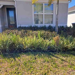 Bush Trimming by Stans lawn care reviewed on October 22, 2025