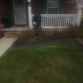 Flower Bed Weeding by Charles Ray lawn mowing reviewed on May 1, 2022