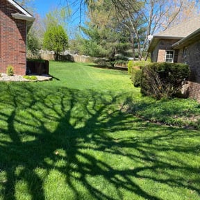 landscaping by Adams lawn service reviewed on August 19, 2025