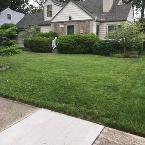 yard maintenance by Mariscal Lawn and Landscaping LLC reviewed on August 20, 2025