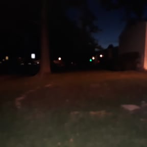 Bush Trimming by Morris Lawncare reviewed on August 17, 2025