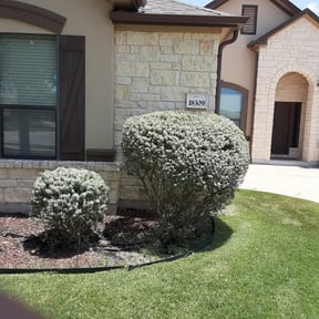 Bush Trimming by Clear landscapes llc reviewed on August 16, 2025