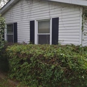 Bush Trimming by Carlyle & Sons lawncare reviewed on August 20, 2025