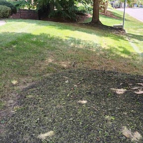 Leaf Removal by Dave&#039;s handyman services reviewed on September 18, 2025