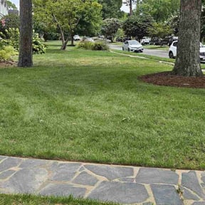 lawn care services by Fine Line Solutions reviewed on July 16, 2023