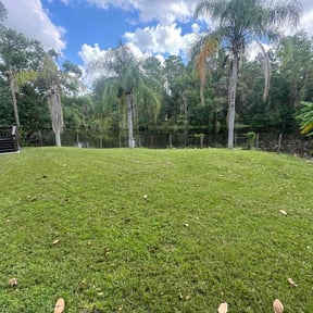 gardening service by Lawn care treatment reviewed on August 20, 2025