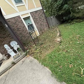 Flower Bed Weeding by Works of Art reviewed on November 18, 2025