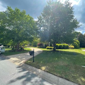 yard maintenance by Green T's Lawn & Landscape reviewed on August 20, 2025