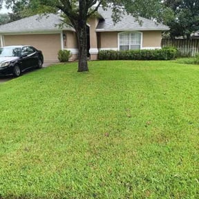 landscape maintenance by Clean green landscaping reviewed on August 15, 2025