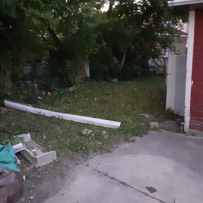 Bush Trimming by TARLY &amp; SONS LAWNCARE reviewed on August 19, 2025