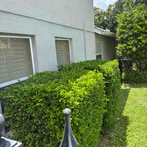 Bush Trimming by Vandergrift lawn services reviewed on June 20, 2026