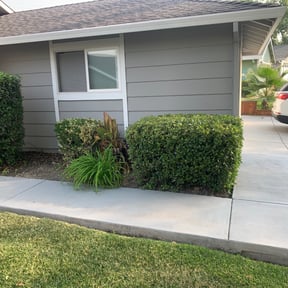 Bush Trimming by Utah Land Masters reviewed on August 15, 2025