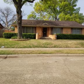 Bush Trimming by Lavish Lawn Care LLC reviewed on August 16, 2025