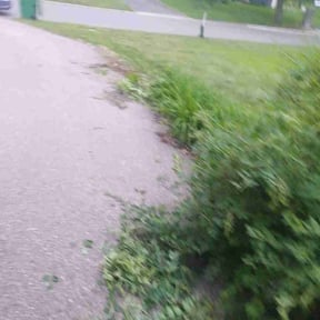 Bush Trimming by SOTTO’S LAWN CARE reviewed on June 16, 2026