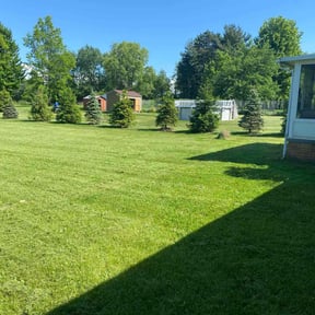 Long Grass Cleanup by Family Lawn Care reviewed on August 16, 2025