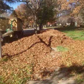 Leaf Removal by GrassMasters Lawn &amp; Landscape reviewed on October 1, 2025
