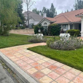 grass maintenance by Full service lawn care reviewed on March 29, 2025