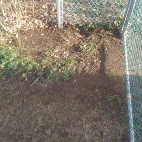 Leaf Removal by Lawn Enforcement Lawn Care LLC reviewed on September 21, 2025