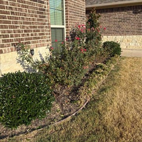 Flower Bed Weeding by Blackamigollc reviewed on April 27, 2024