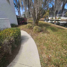 Bush Trimming by A Cut Above reviewed on March 2, 2026