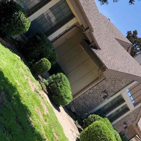 Bush Trimming by Birdsong Bee Company Lawn Service reviewed on August 17, 2025