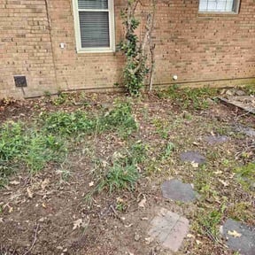 Leaf Removal by Afloridable services LLC reviewed on September 21, 2025