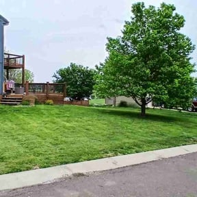 turf maintenance by Ridgewood Landscape Management llc. reviewed on September 6, 2023