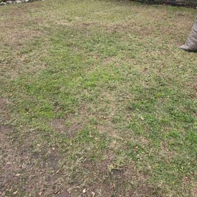 Leaf Removal by A&#039;s LawnCare reviewed on September 22, 2025