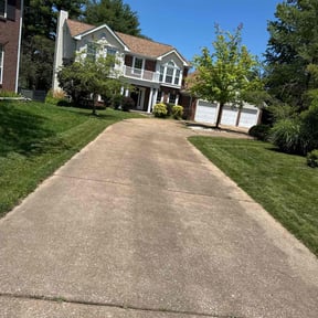landscaping by Creech Family Services reviewed on August 19, 2025