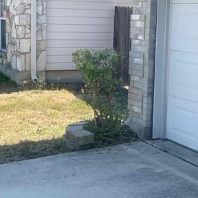 Bush Trimming by Tru-Quality Lawn Care reviewed on November 22, 2025