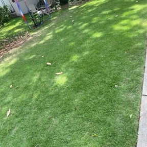 landscaping by Inspo Lawncare reviewed on August 15, 2025