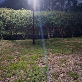 Bush Trimming by Joe’s lawn care reviewed on January 21, 2026