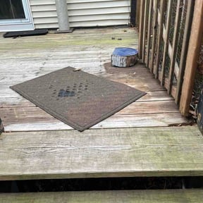 Leaf Removal by Type A Lawn Guy reviewed on August 24, 2026