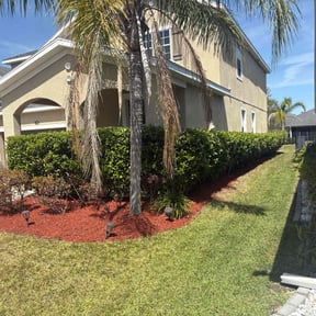Mulching by Self-Develope Services reviewed on August 20, 2025
