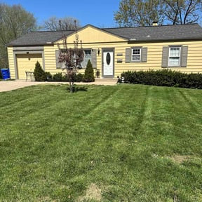 landscaping by The Lawn Cypress reviewed on December 2, 2025