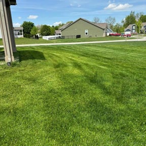 landscaping by Lightyear Lawn Care reviewed on August 15, 2025