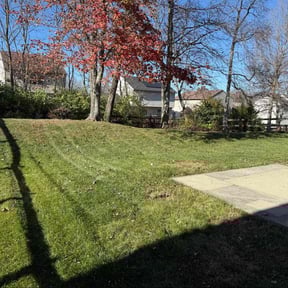 Leaf Removal by Caesar’s Premier Landscaping reviewed on November 19, 2025