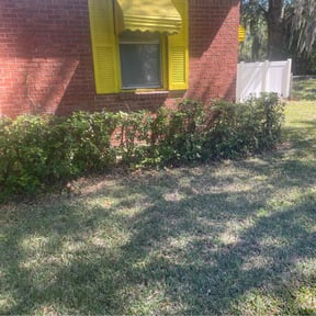 Bush Trimming by Uptown Lawn Care reviewed on August 15, 2025