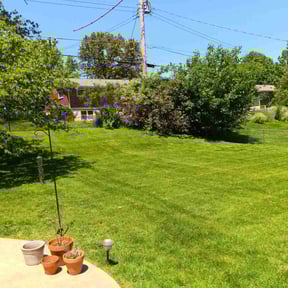 yard maintenance by A Handyman and Mowing Company reviewed on August 18, 2025