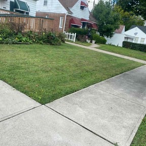 Bush Trimming by R&C Lawn Care and Clean reviewed on August 17, 2025