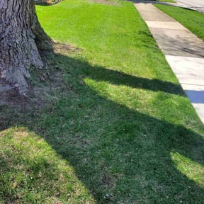 residential landscaping by Torres Lawn Care reviewed on August 16, 2025
