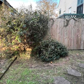 Bush Trimming by Scarlet and gray Lawn Care Management LLC reviewed on August 21, 2025