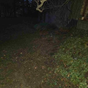 Leaf Removal by Artavius  Clark reviewed on November 23, 2025